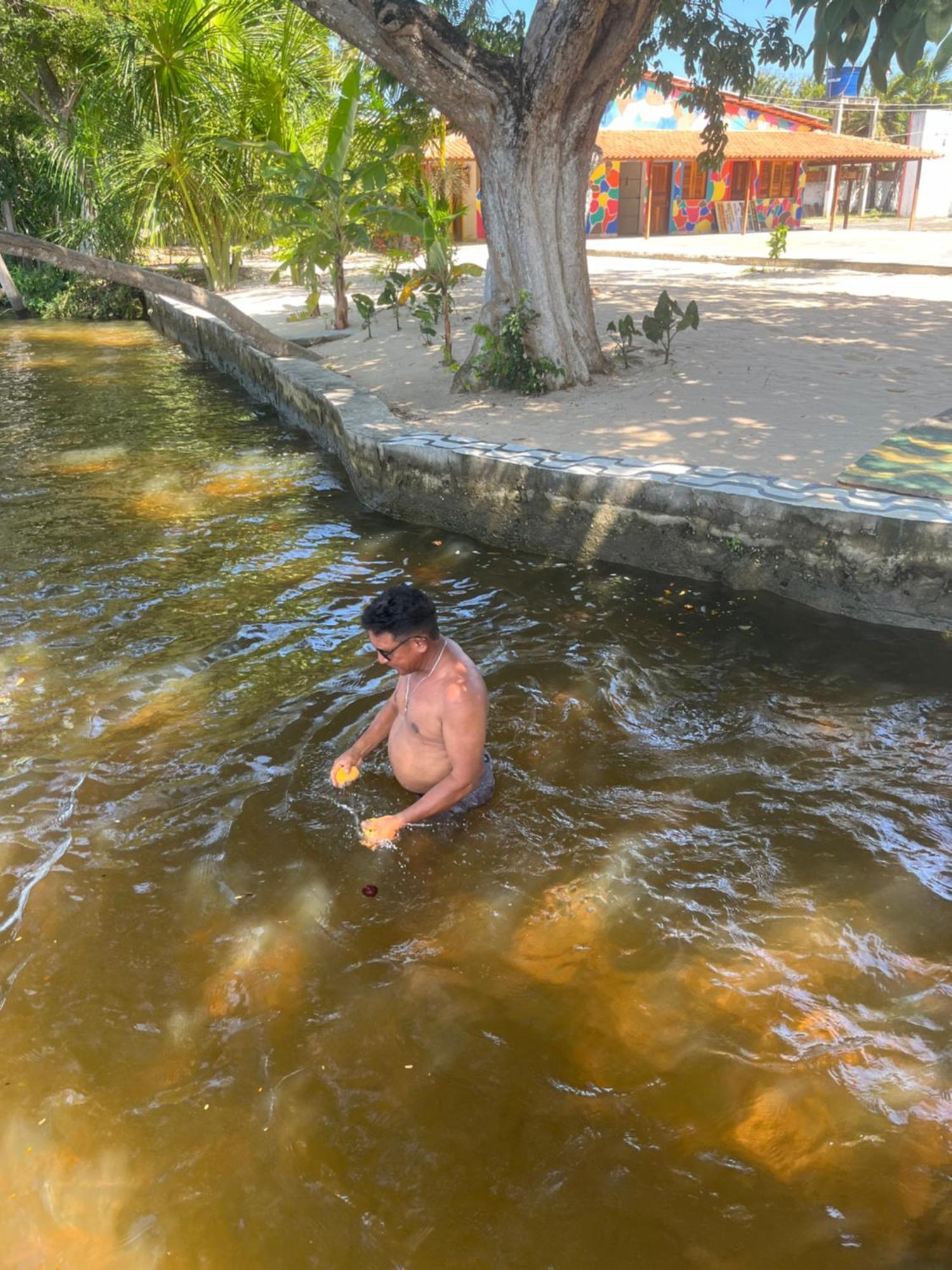 Pousada Paraiso Cultural 巴雷里尼亚斯 外观 照片